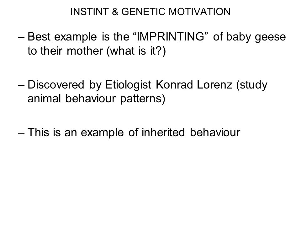 INSTINT & GENETIC MOTIVATION –Best example is the IMPRINTING of baby geese to their mother (what is it ) –Discovered by Etiologist Konrad Lorenz (study animal behaviour patterns) –This is an example of inherited behaviour