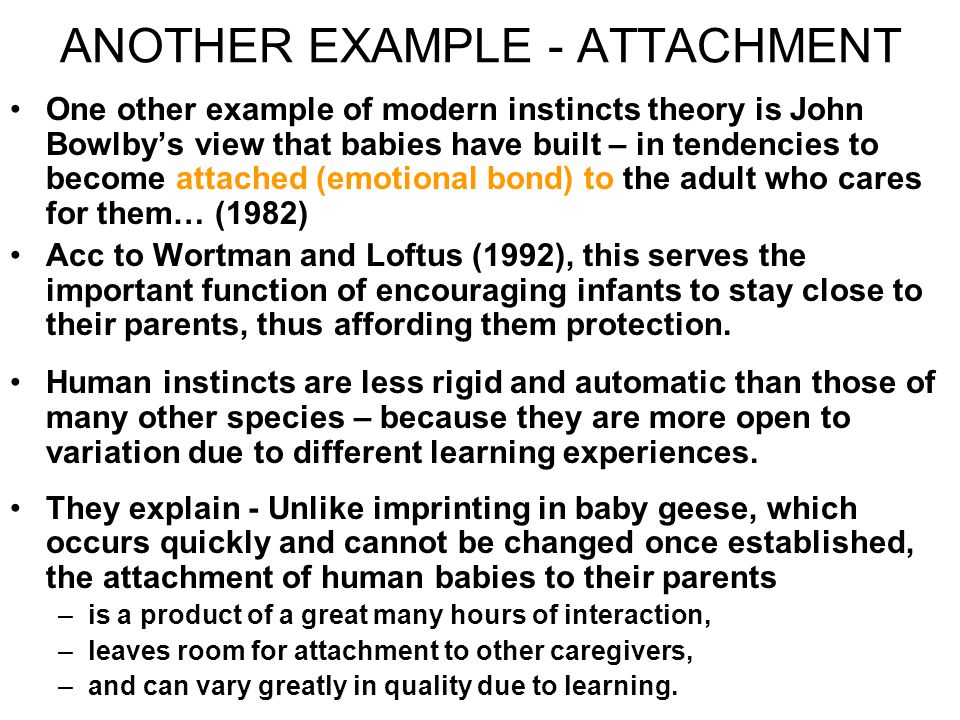 ANOTHER EXAMPLE - ATTACHMENT One other example of modern instincts theory is John Bowlby’s view that babies have built – in tendencies to become attached (emotional bond) to the adult who cares for them… (1982) Acc to Wortman and Loftus (1992), this serves the important function of encouraging infants to stay close to their parents, thus affording them protection.
