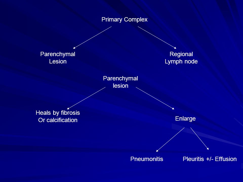 Parenchymal Lesion Enlarge Parenchymal lesion PneumonitisPleuritis +/- Effusion Heals by fibrosis Or calcification Regional Lymph node Primary Complex