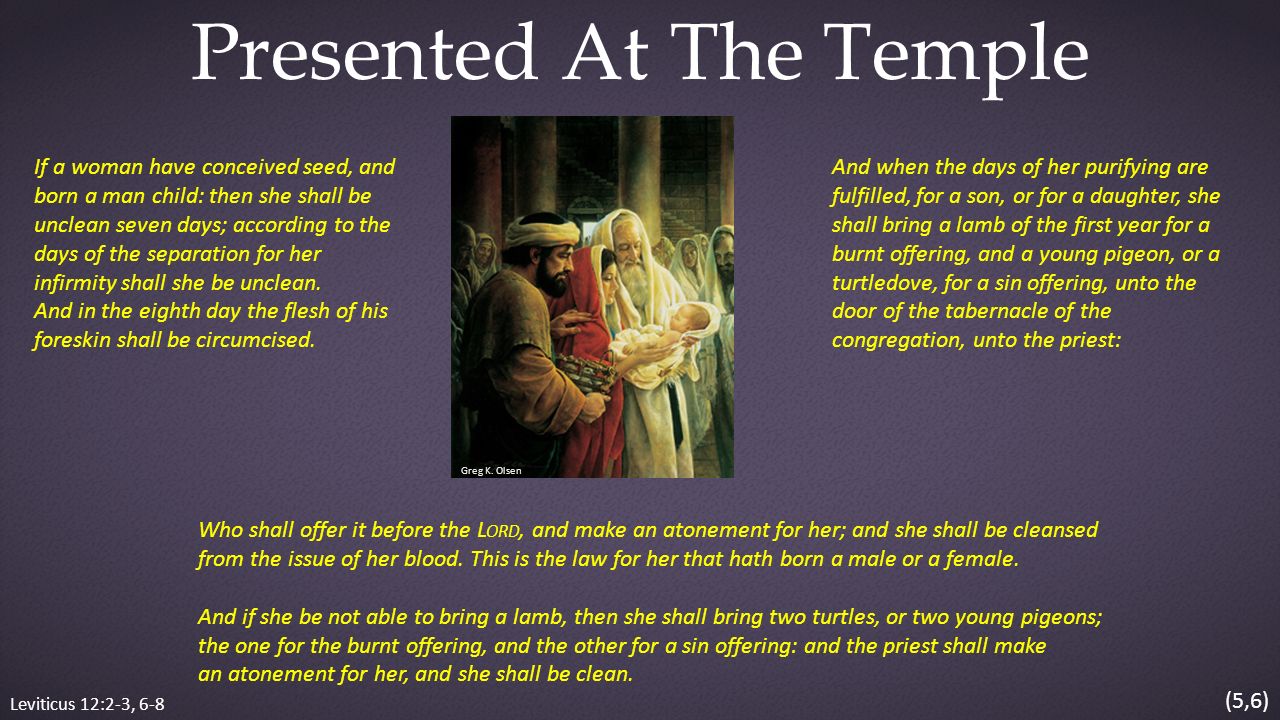 Leviticus 12:2-3, 6-8 Presented At The Temple If a woman have conceived seed, and born a man child: then she shall be unclean seven days; according to the days of the separation for her infirmity shall she be unclean.