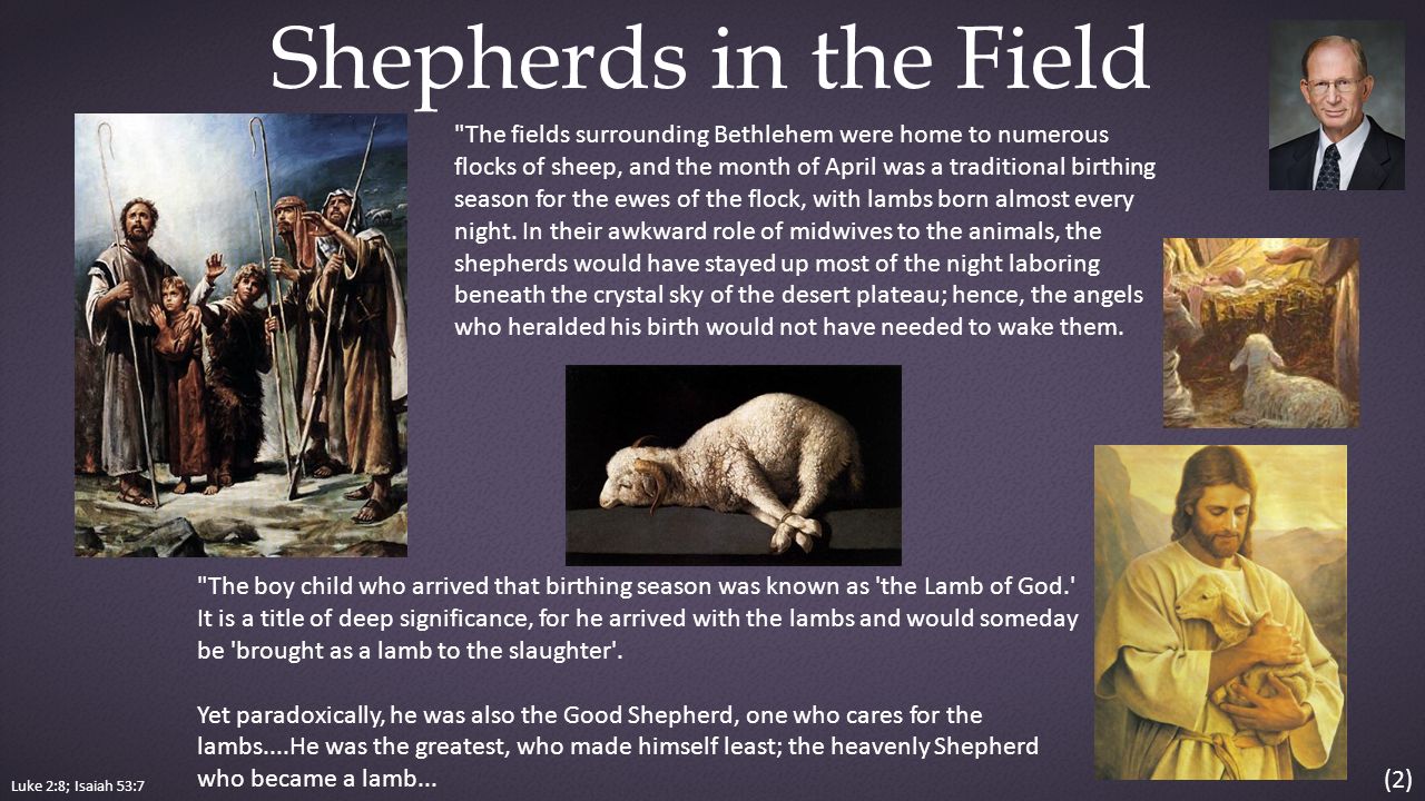 Luke 2:8; Isaiah 53:7 Shepherds in the Field (2) The fields surrounding Bethlehem were home to numerous flocks of sheep, and the month of April was a traditional birthing season for the ewes of the flock, with lambs born almost every night.