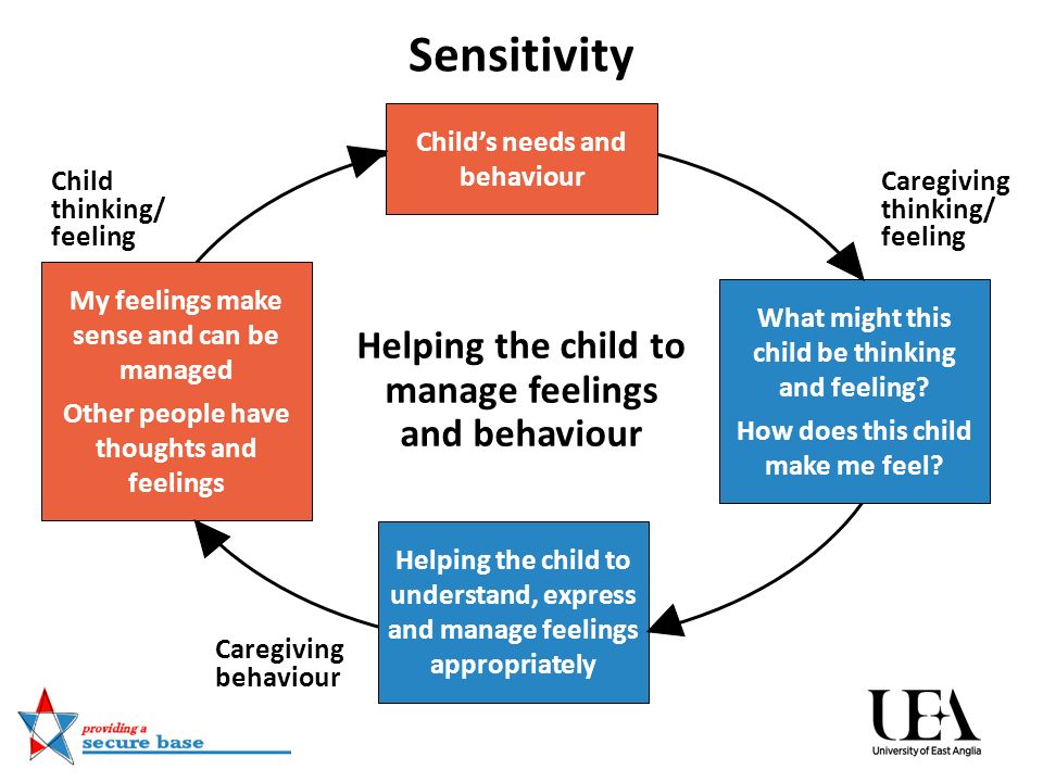Sensitivity Child’s needs and behaviour What might this child be thinking and feeling.