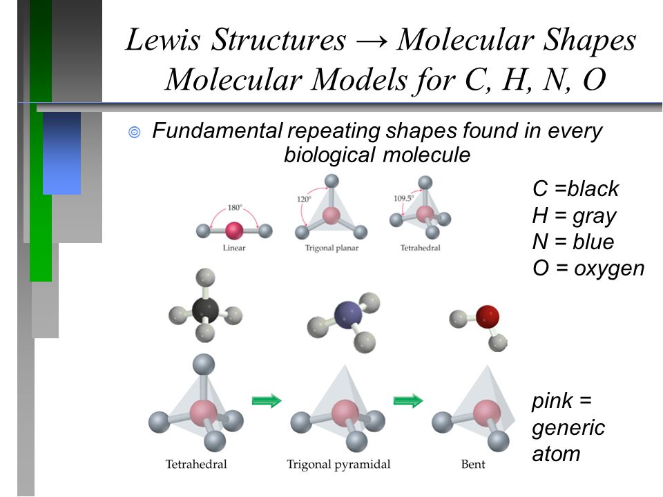 Lewis Structures → Molecular Shapes Molecular Models for C, H, N, O ? 