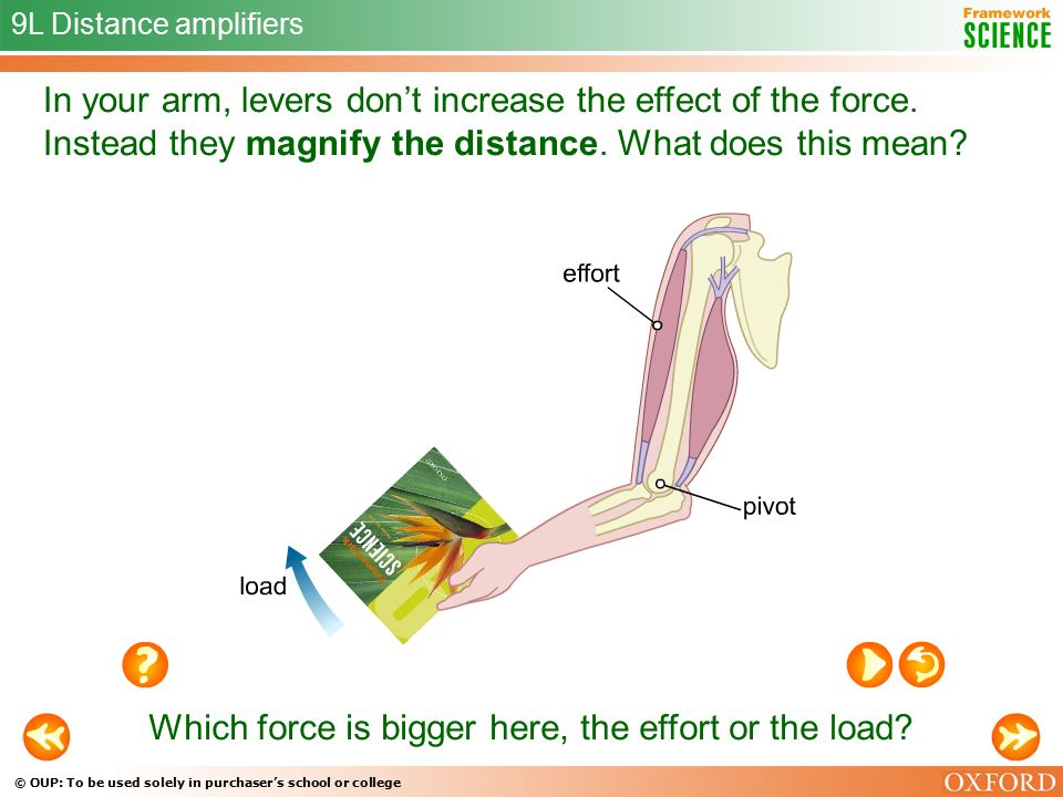 © OUP: To be used solely in purchaser’s school or college 9L Distance amplifiers In your arm, levers don’t increase the effect of the force.