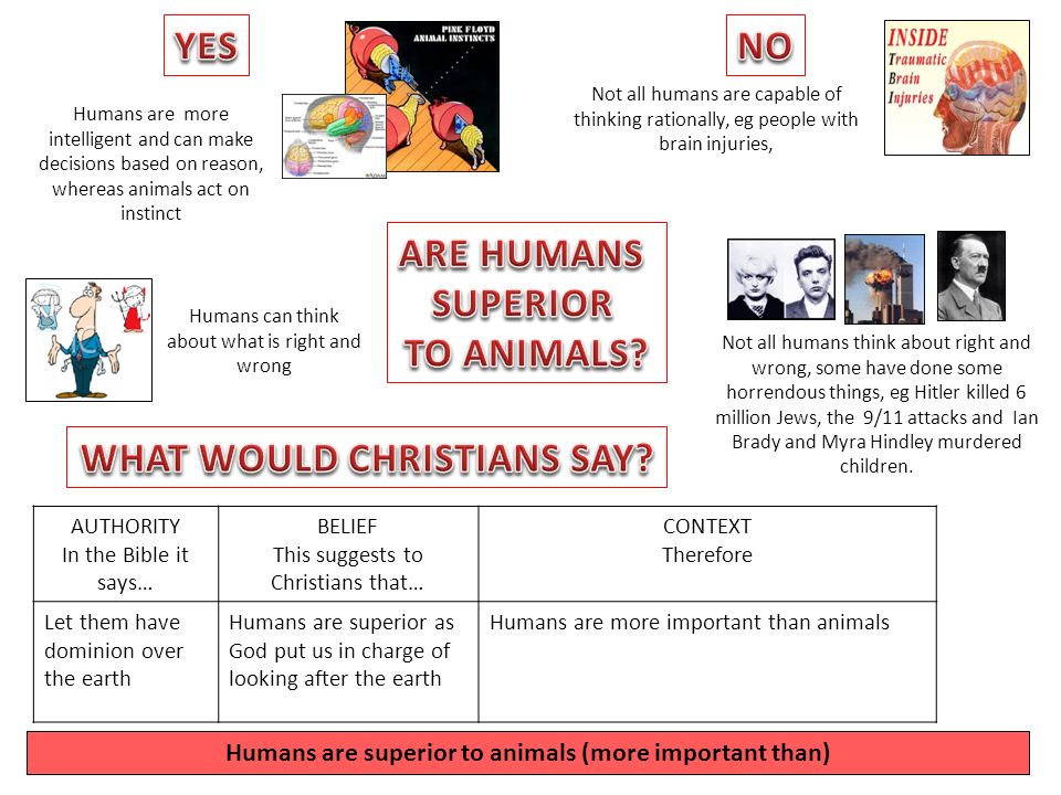 Humans are more intelligent and can make decisions based on reason, whereas  animals act on instinct Humans can think about what is right and wrong Not.  - ppt download