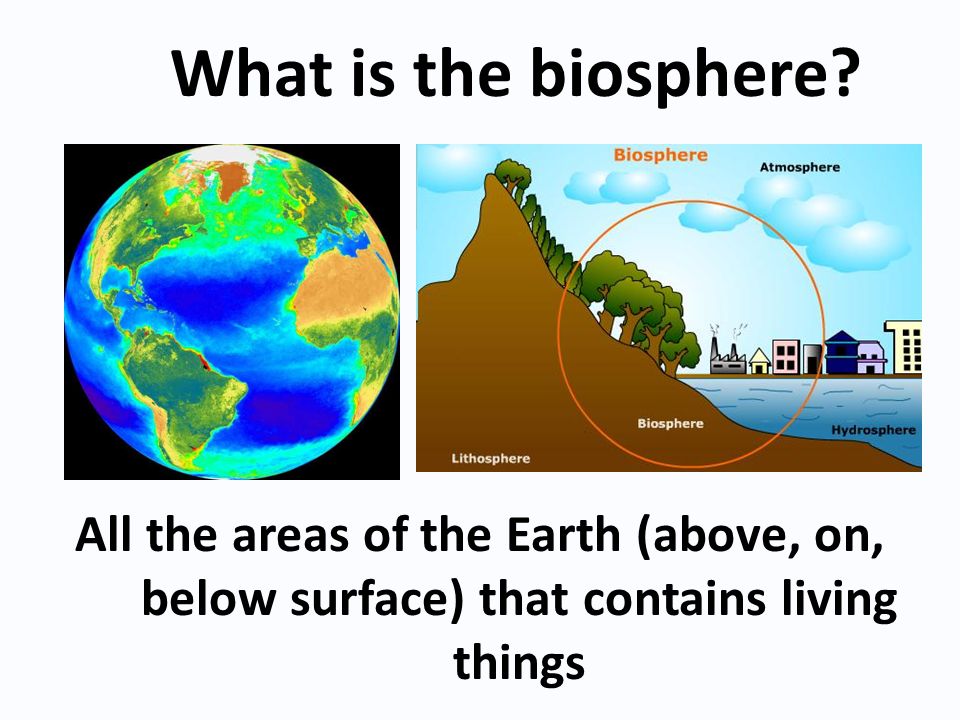 All the areas of the Earth (above, on, below surface) that contains living things