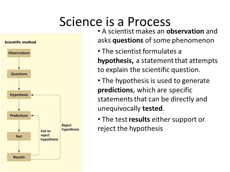 Science is a Process A scientist makes an observation and asks questions of some phenomenon The scientist formulates a hypothesis, a statement that attempts to explain the scientific question.