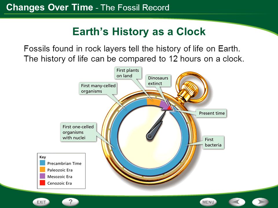 Changes Over Time Earth’s History as a Clock Fossils found in rock layers tell the history of life on Earth.