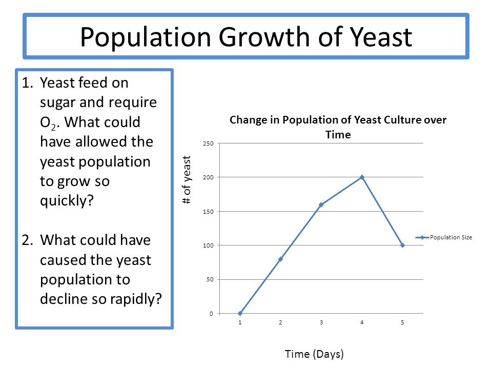 Time (Days) # of yeast 1.Yeast feed on sugar and require O 2.