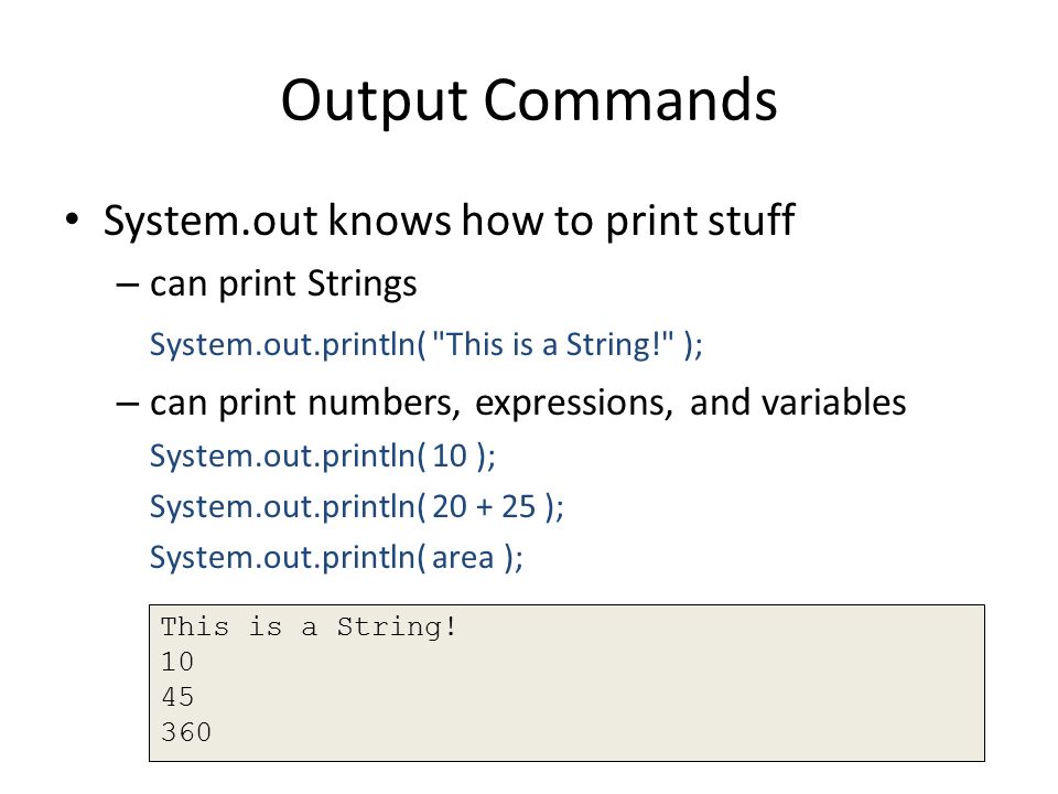 Basic Programming The Program Class, the main Method, Variables, Output ...