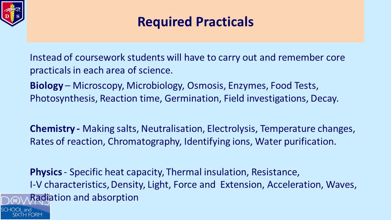 Professional argumentative essay proofreading service for masters Professional argumentative essay proofreading service for masters