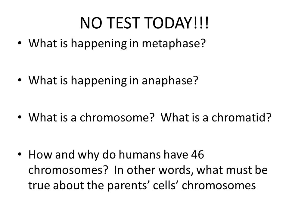 NO TEST TODAY!!. What is happening in metaphase. What is happening in anaphase.