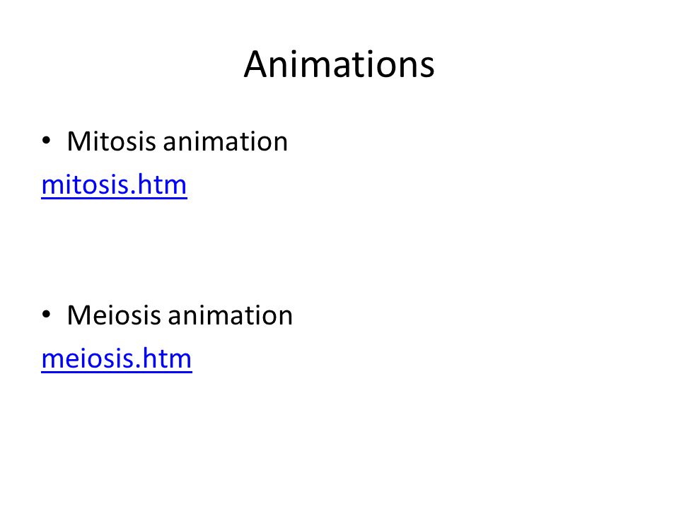 Animations Mitosis animation mitosis.htm Meiosis animation meiosis.htm