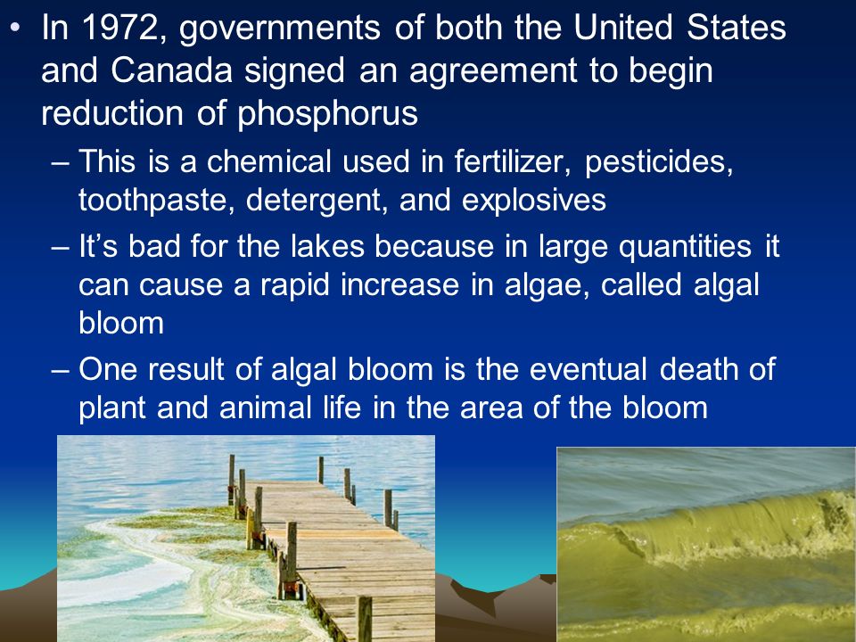 In 1972, governments of both the United States and Canada signed an agreement to begin reduction of phosphorus –This is a chemical used in fertilizer, pesticides, toothpaste, detergent, and explosives –It’s bad for the lakes because in large quantities it can cause a rapid increase in algae, called algal bloom –One result of algal bloom is the eventual death of plant and animal life in the area of the bloom