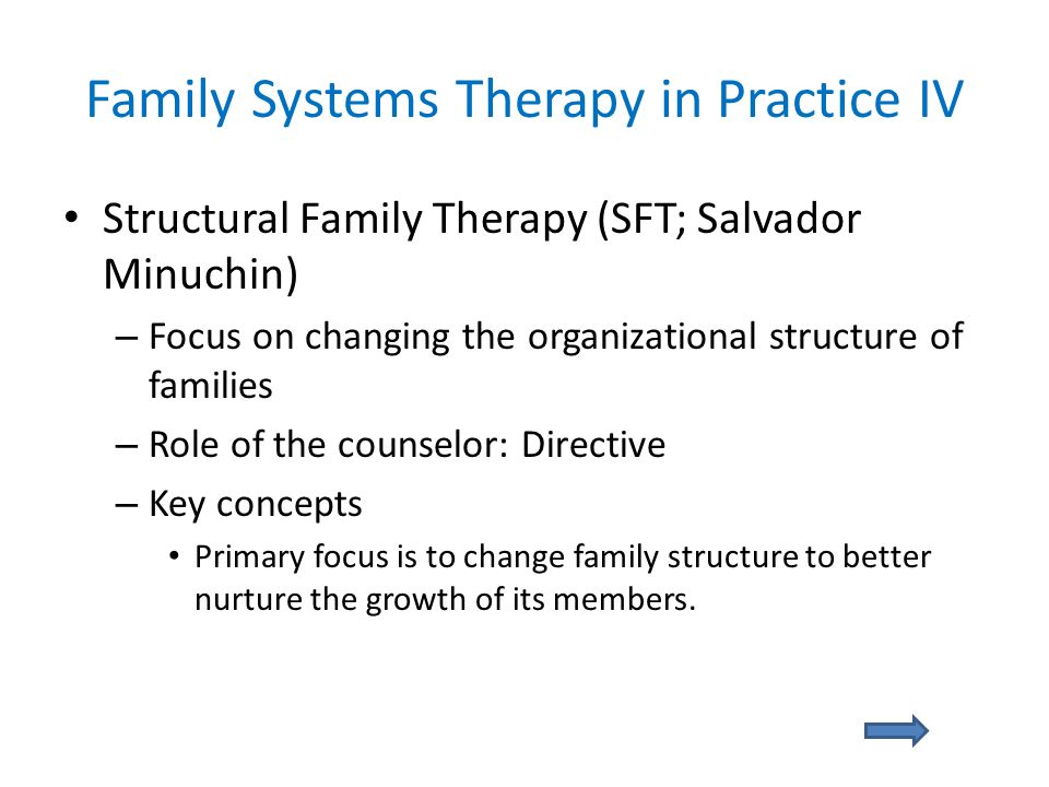 family structural theory