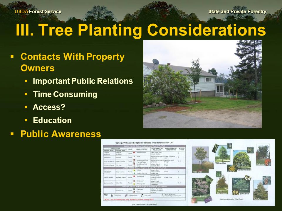 USDA Forest Service State And Private Forestry Planning For Restoration ...