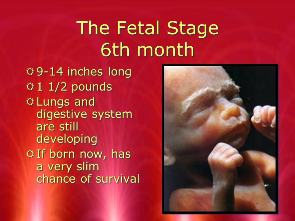 Chapter 11: Pregnancy and Childbirth Family and Consumer Science ...