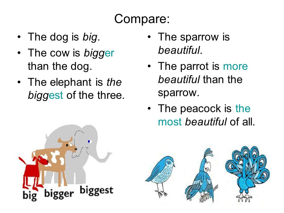 Comparisons big. The biggest предложения. Degrees of Comparison poem. Big bigger the biggest правило. Задания на тему big-bigger-the biggest английский.