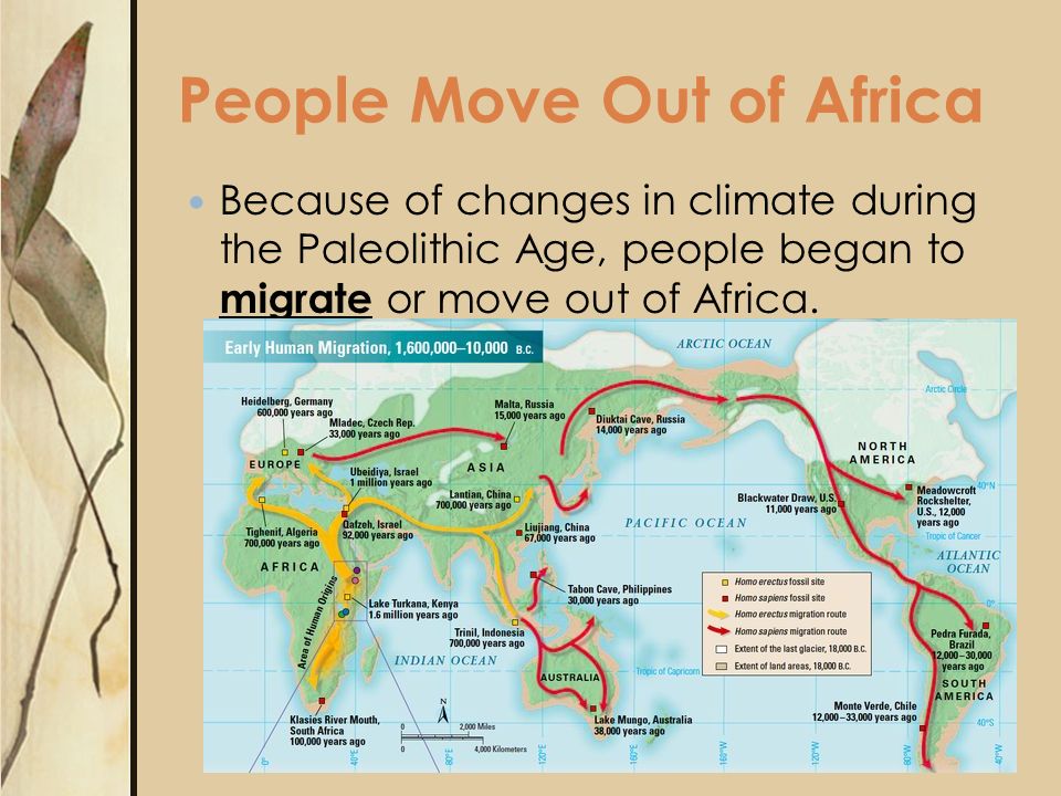 lesson 2 2 early human migration view pdf images may be subject to