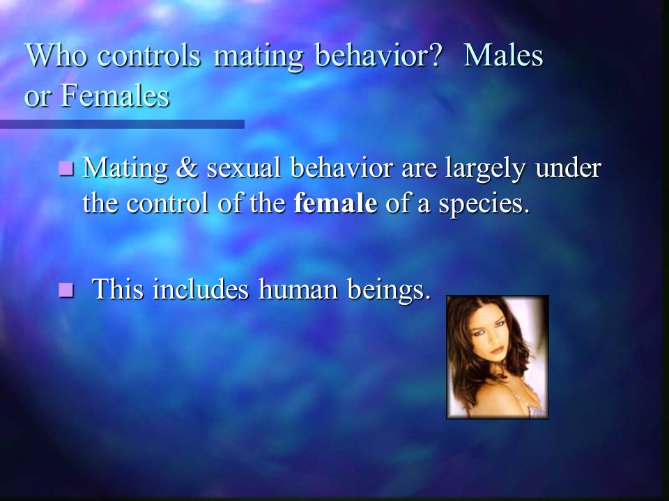 Sexual & Reproductive behaviors Dr. Kline FSU. I. Mating Behaviors What is  the main reason animals mate? What is the main reason animals mate? For  most. - ppt download