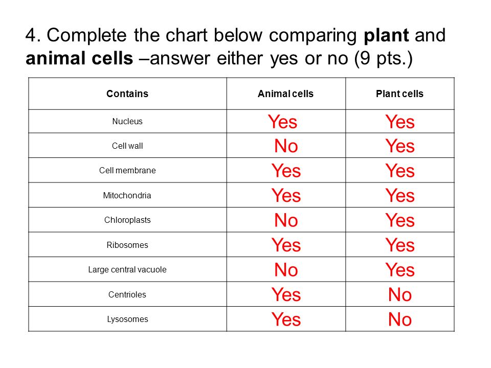 Cell Comparison Chart