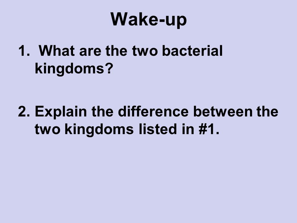 Wake-up 1. What are the two bacterial kingdoms.