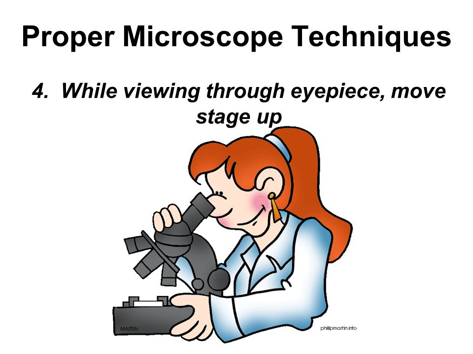 Proper Microscope Techniques 4. While viewing through eyepiece, move stage up