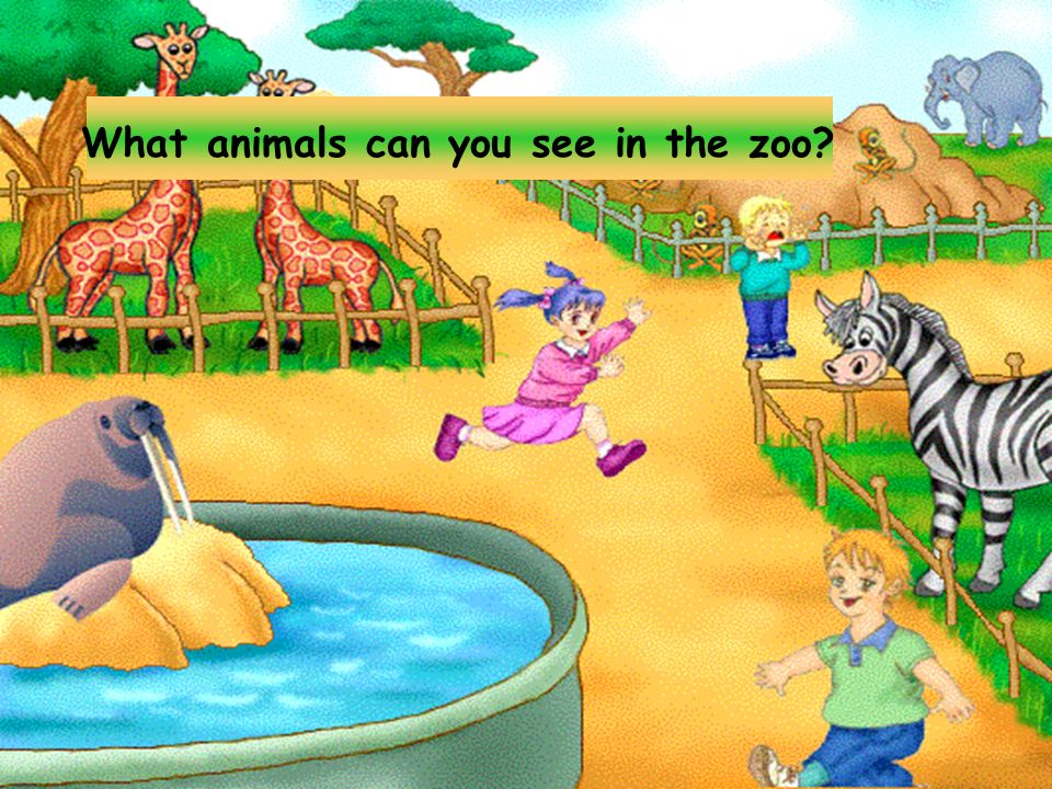 Let's go to the zoo. What animals can you see in the zoo? - ppt download