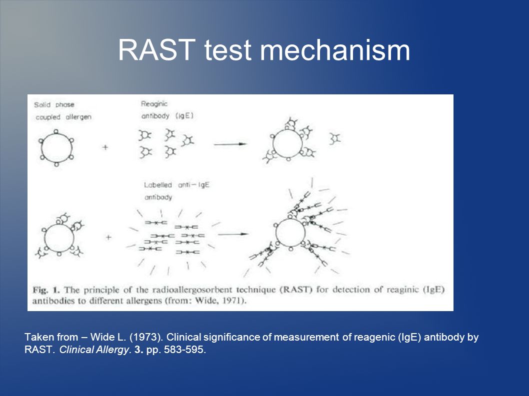 Radioallergosorbent (RAST) test A blood test that measures specific antigen  IgE levels in the serum. - ppt download