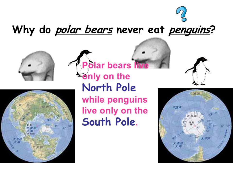 Antarctica The South Pole Arctic Ocean （北冰洋） The North Pole B A Two ends of  the world Where is the South Pole? - ppt download