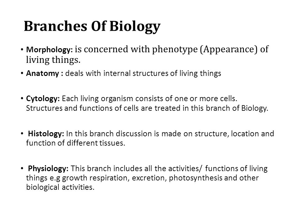 Branches Of Biology Morphology: is concerned with phenotype (Appearance) of living things.