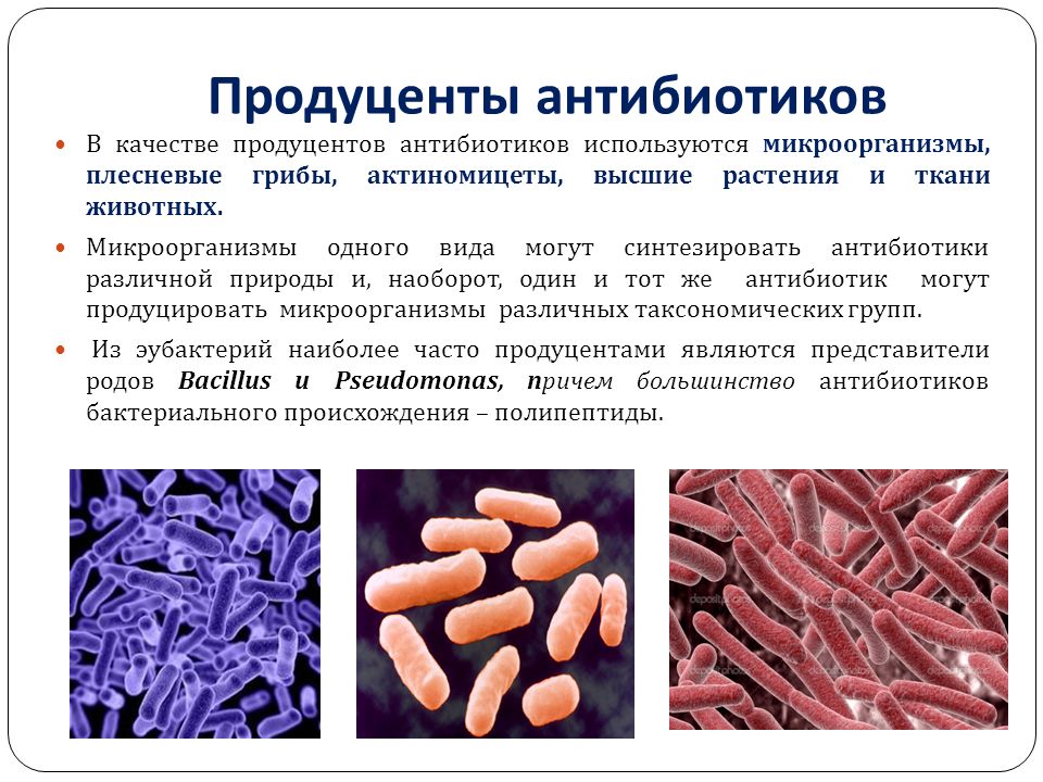 Бактерии в основе