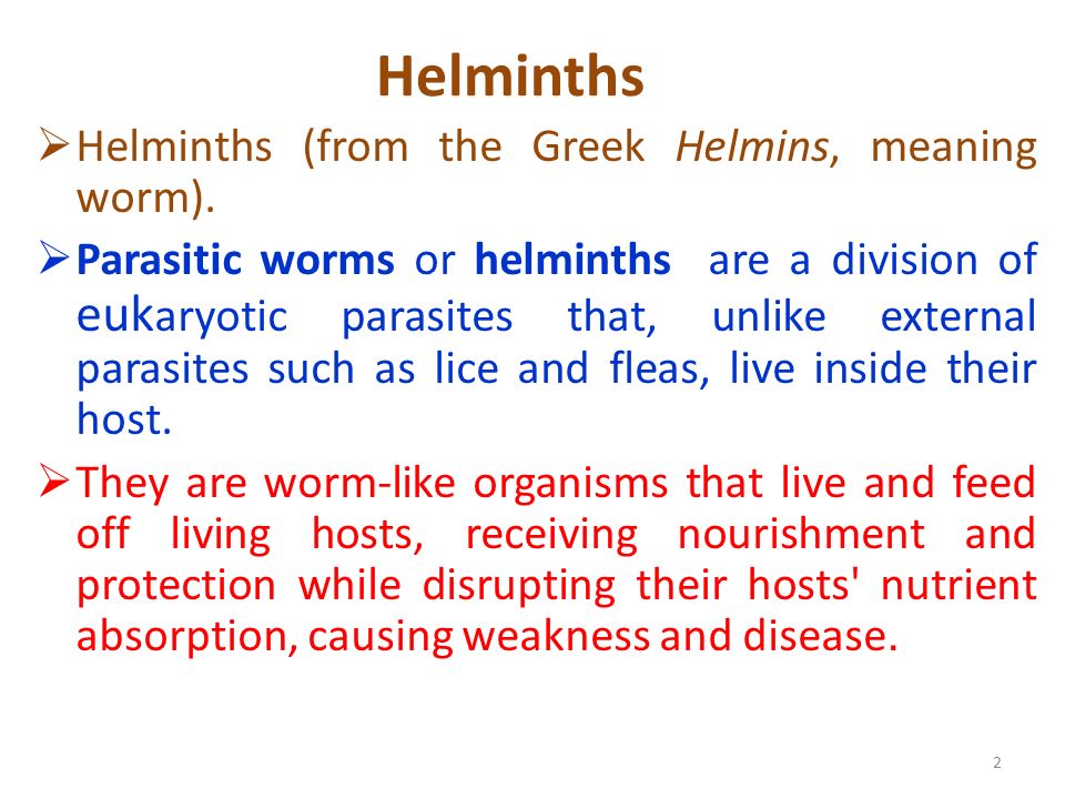 What is helminth mean