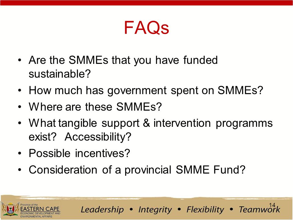 FAQs Are the SMMEs that you have funded sustainable.