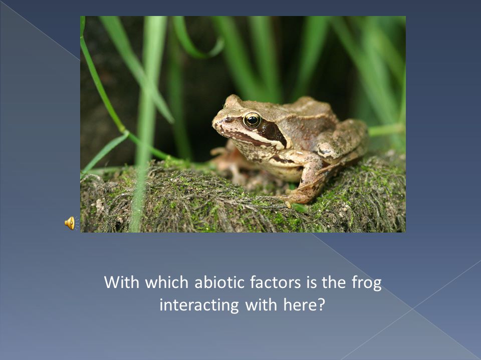 All non-living parts of an ecosystem are called abiotic factors.