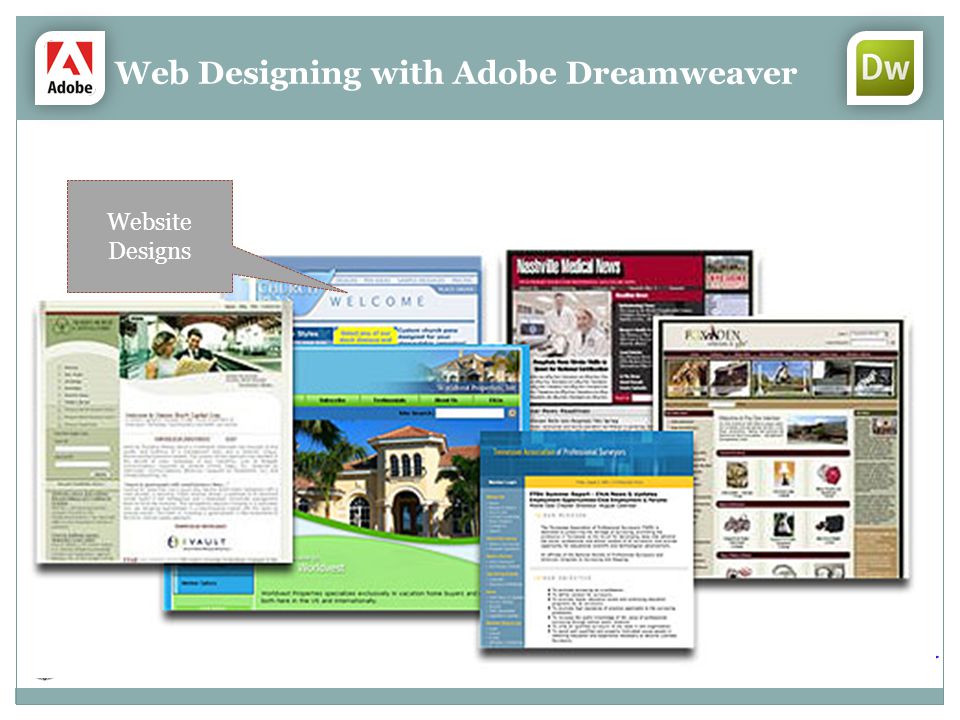 Web Designing with Adobe Dreamweaver Website Designs