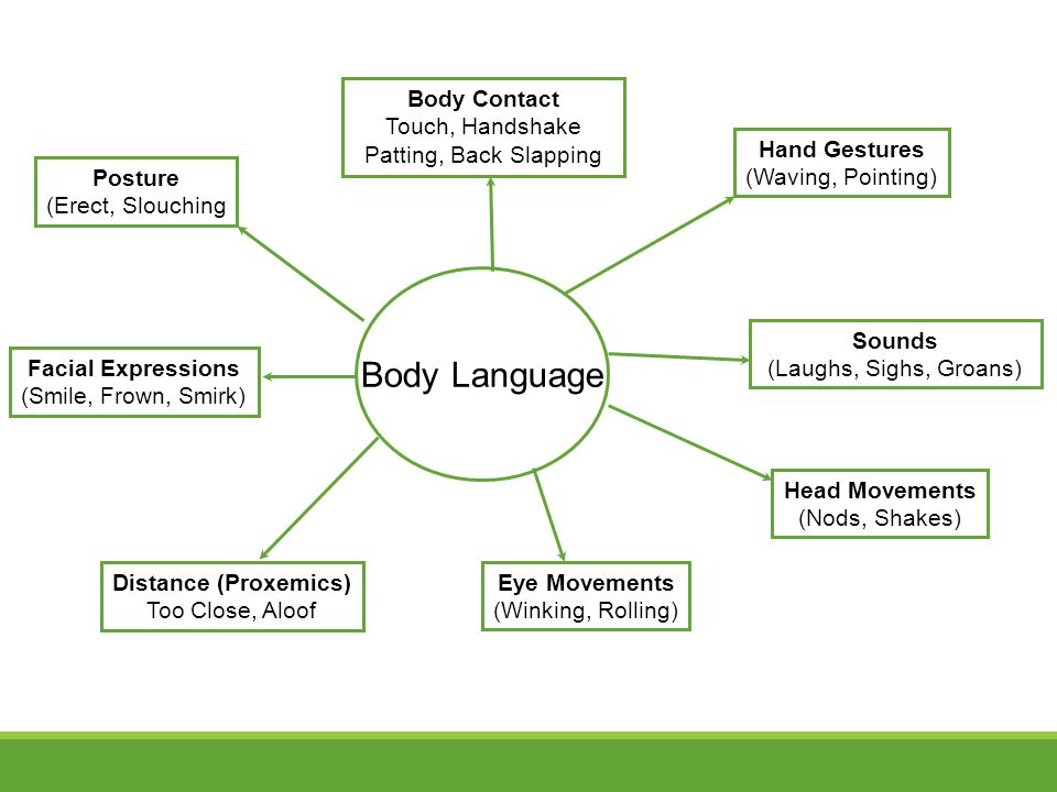 Posture (Erect, Slouching Body Language Hand Gestures (Waving, Pointing) Sounds (Laughs, Sighs, Groans) Head Movements (Nods, Shakes) Eye Movements (Winking, Rolling) Distance (Proxemics) Too Close, Aloof Facial Expressions (Smile, Frown, Smirk) Body Contact Touch, Handshake Patting, Back Slapping