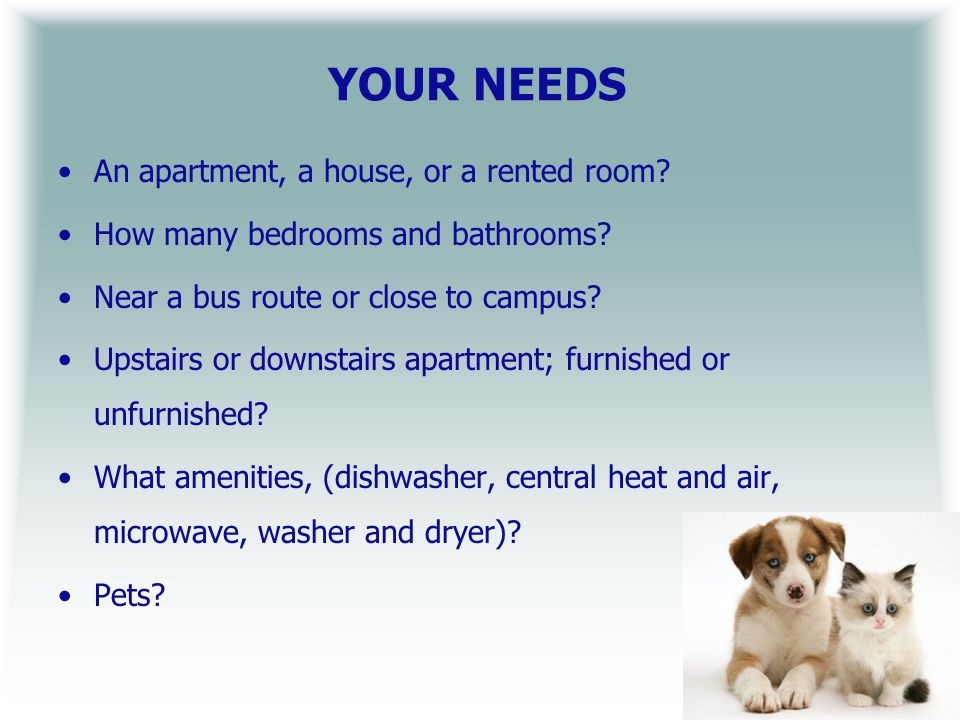 YOUR NEEDS An apartment, a house, or a rented room.