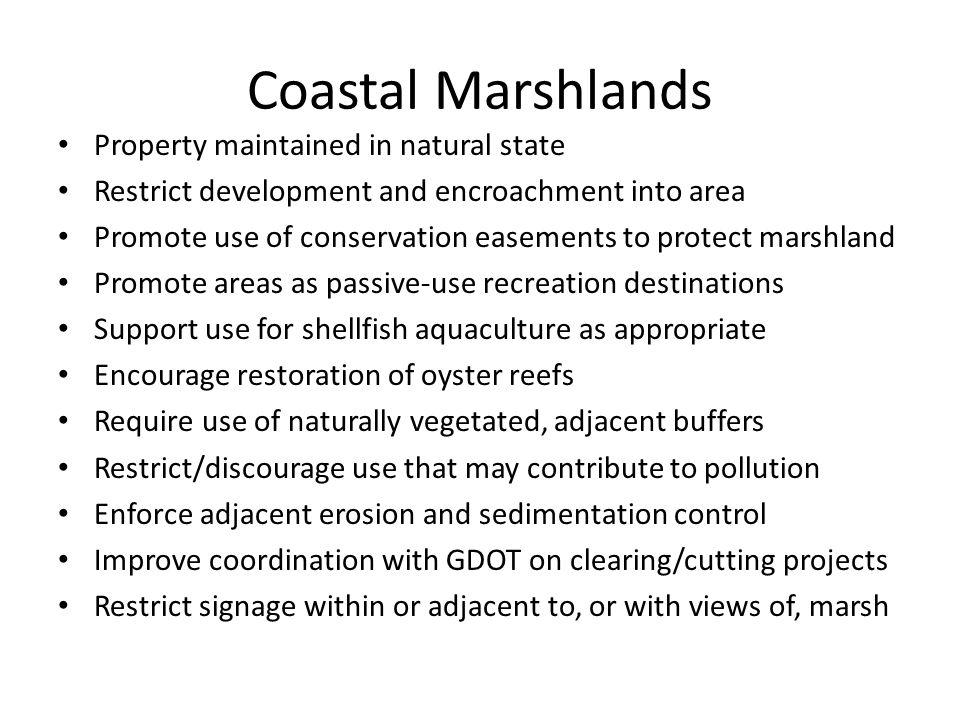 Coastal Marshlands Property maintained in natural state Restrict development and encroachment into area Promote use of conservation easements to protect marshland Promote areas as passive-use recreation destinations Support use for shellfish aquaculture as appropriate Encourage restoration of oyster reefs Require use of naturally vegetated, adjacent buffers Restrict/discourage use that may contribute to pollution Enforce adjacent erosion and sedimentation control Improve coordination with GDOT on clearing/cutting projects Restrict signage within or adjacent to, or with views of, marsh