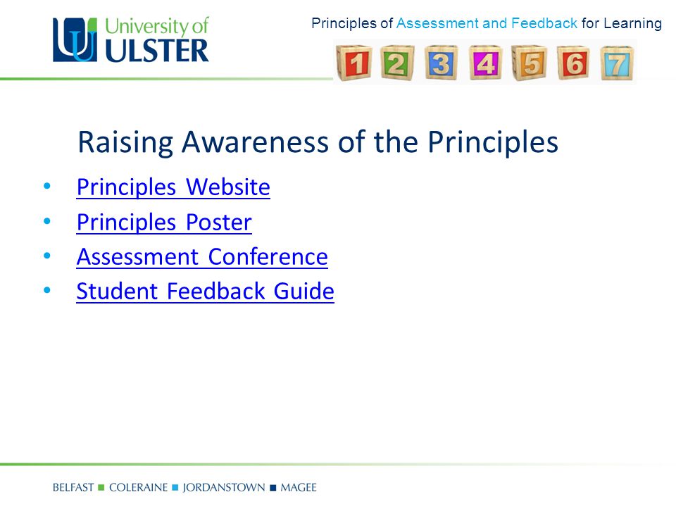 Principles of Assessment and Feedback for Learning Raising Awareness of the Principles Principles Website Principles Poster Assessment Conference Student Feedback Guide