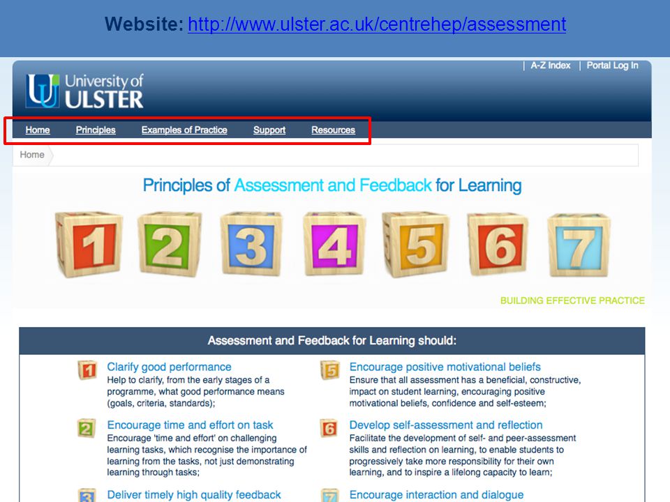 Principles of Assessment and Feedback for Learning Website: