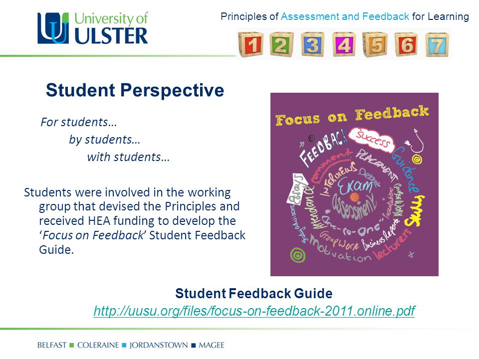 Principles of Assessment and Feedback for Learning Student Perspective Student Feedback Guide   For students… by students… with students… Students were involved in the working group that devised the Principles and received HEA funding to develop theFocus on Feedback Student Feedback Guide.