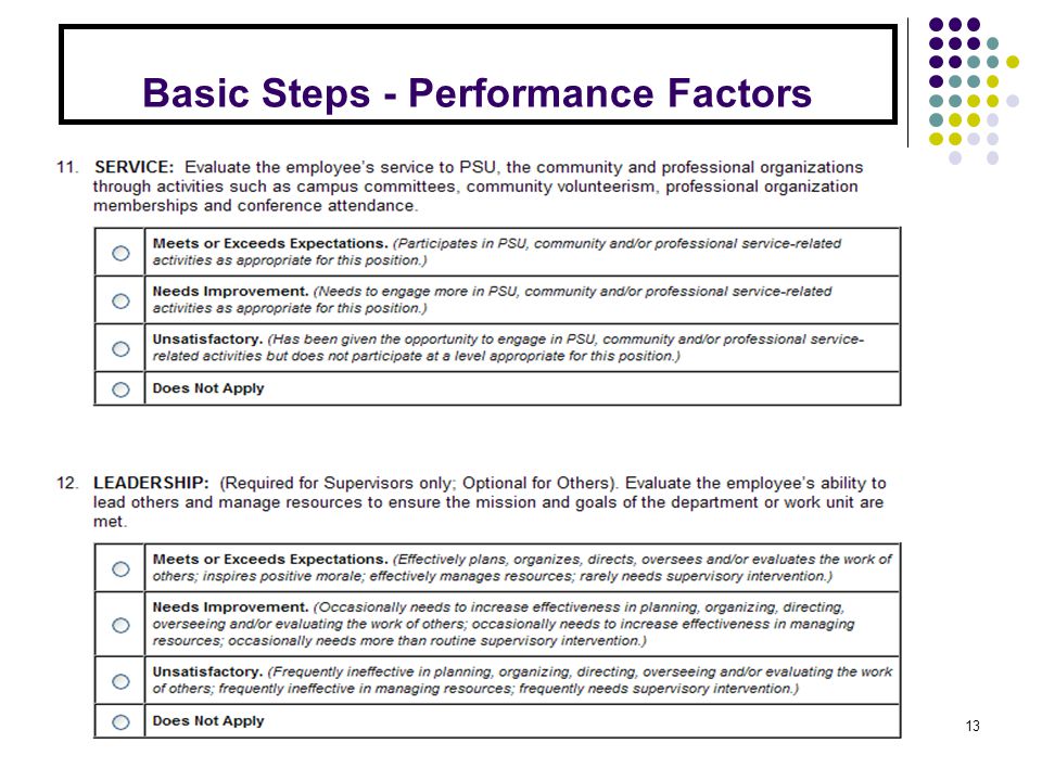 Basic Steps - Performance Factors 13