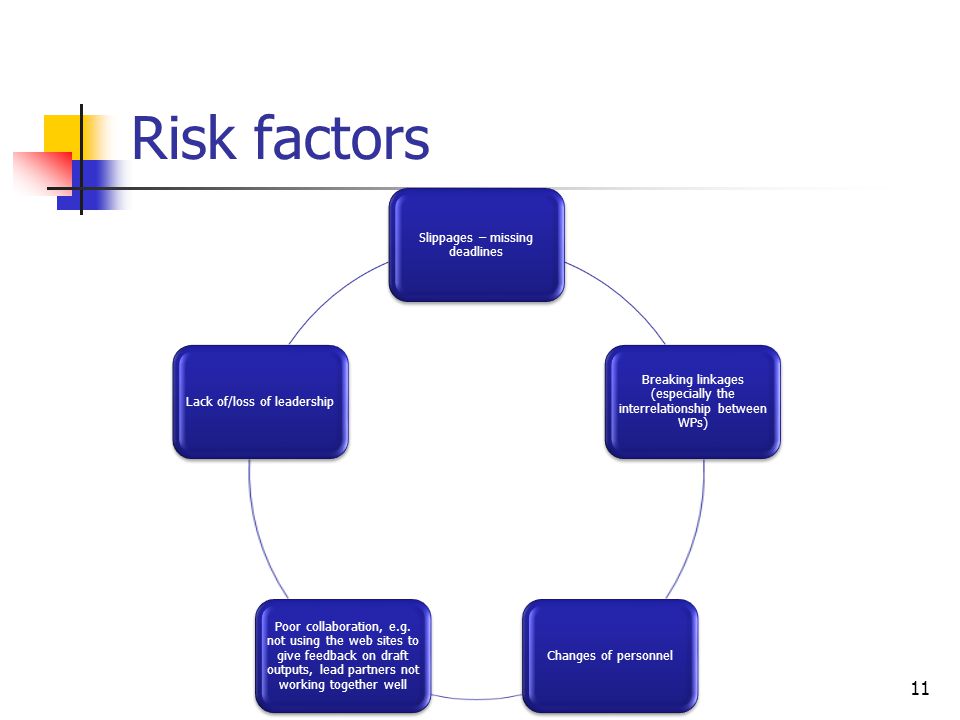 Risk factors 11 Slippages – missing deadlines Breaking linkages (especially the interrelationship between WPs) Changes of personnel Poor collaboration, e.g.