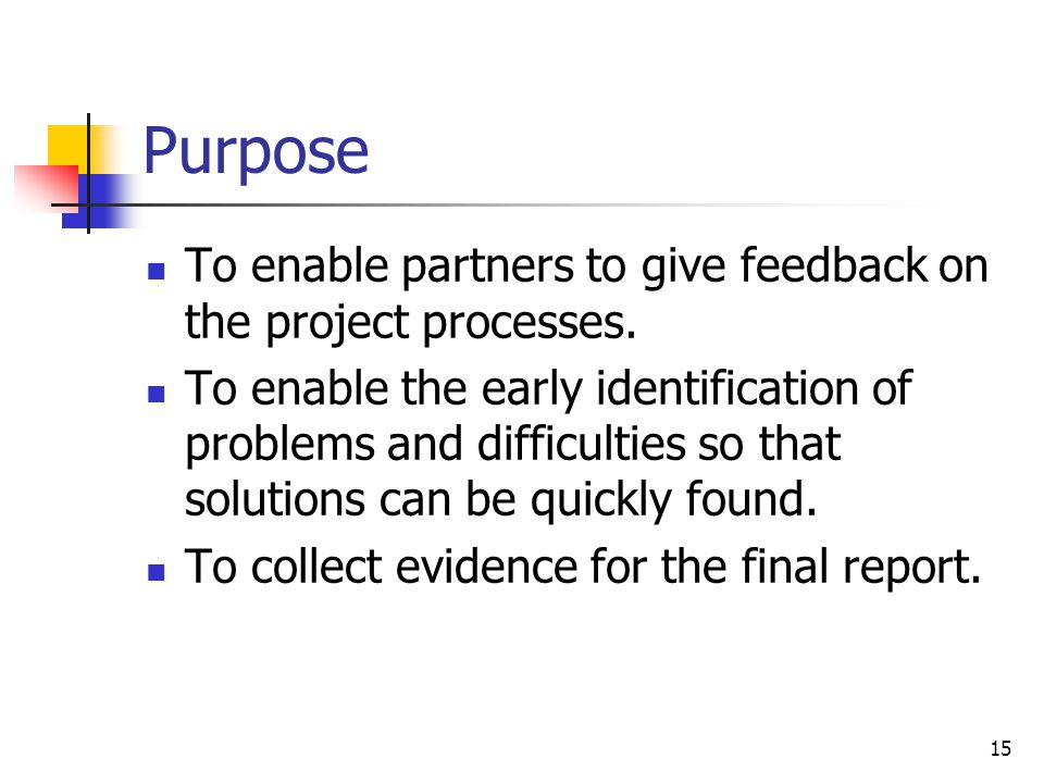 Purpose To enable partners to give feedback on the project processes.