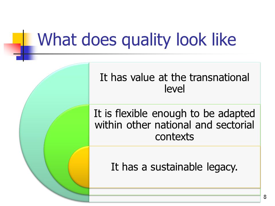 What does quality look like 8 It has value at the transnational level It is flexible enough to be adapted within other national and sectorial contexts It has a sustainable legacy.