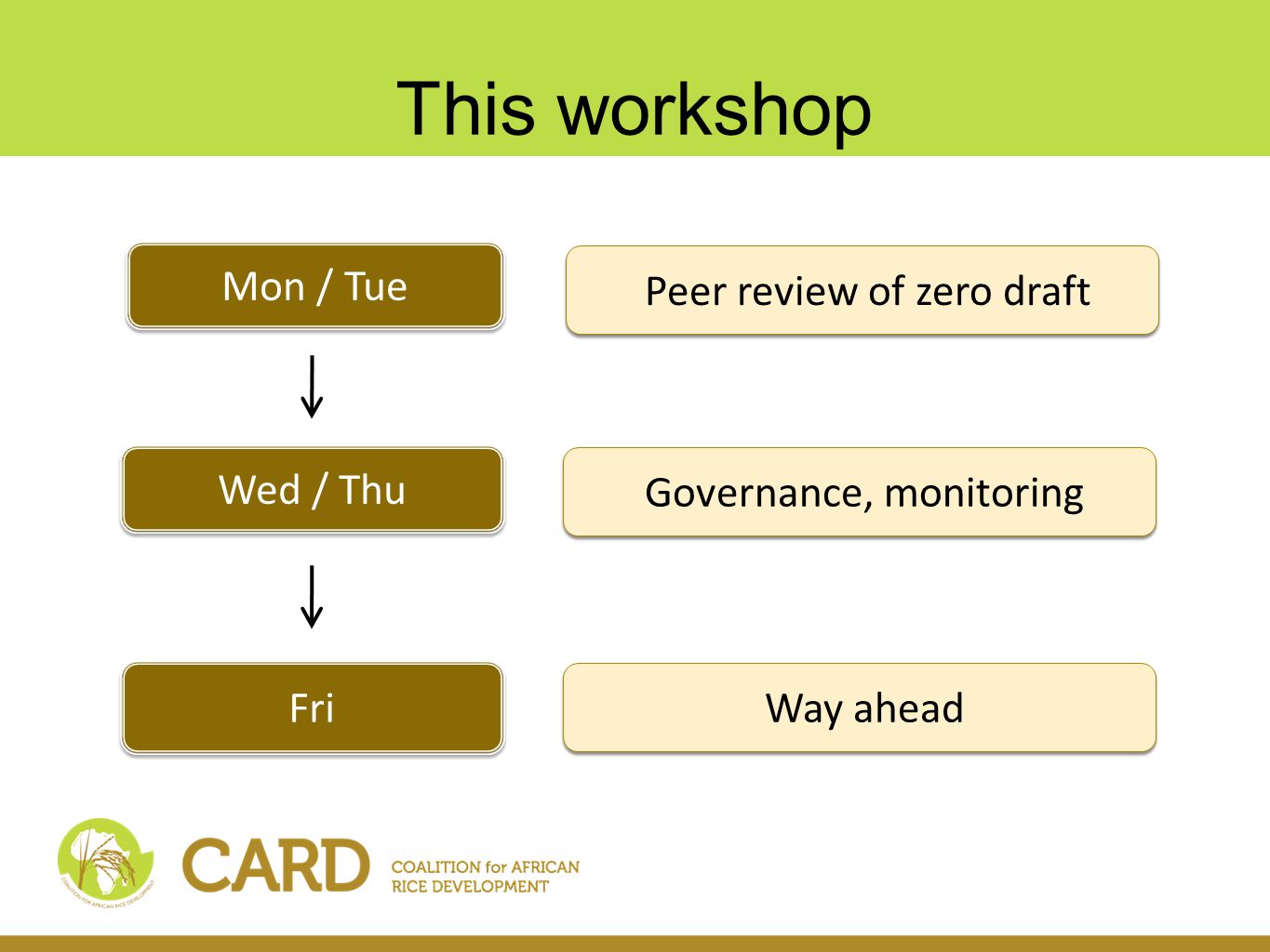 This workshop Mon / Tue Wed / Thu Peer review of zero draft Fri Governance, monitoring Way ahead