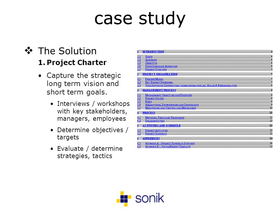 case study The Solution 1.Project Charter Capture the strategic long term vision and short term goals.