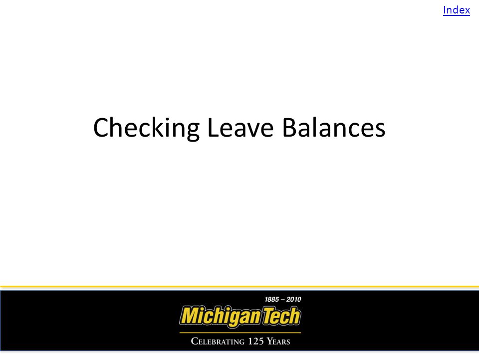 Checking Leave Balances Index