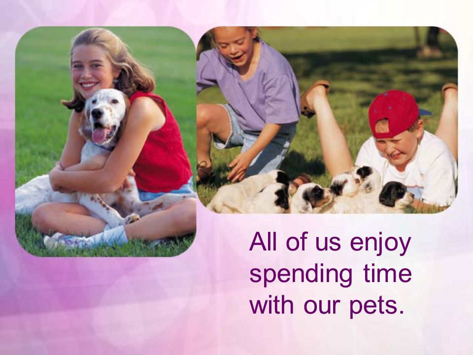 All of us enjoy spending time with our pets.